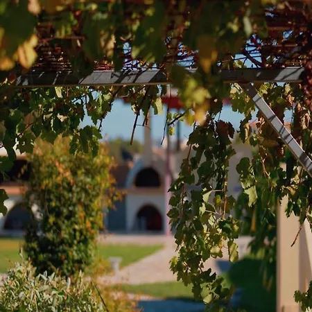 Artemis Villa Koskinou (Rhodes)